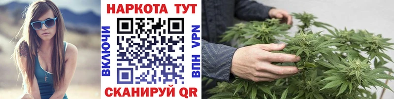 Купить закладку Губкин Кокаин Мефедрон ГАШИШ Бошки Шишки