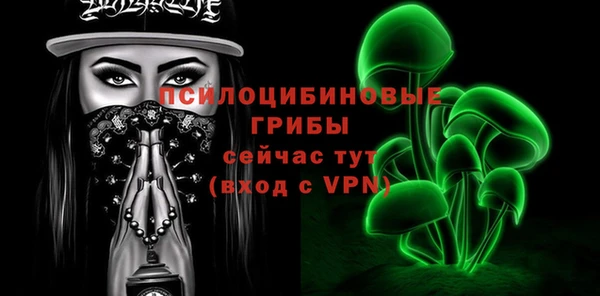 мдпв Балахна
