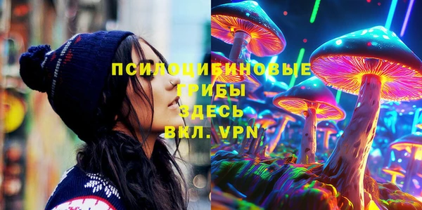 мдпв Балахна