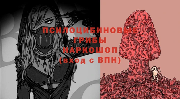 мдпв Балахна